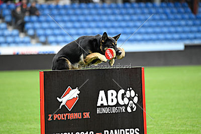 Louka von Bussardwald