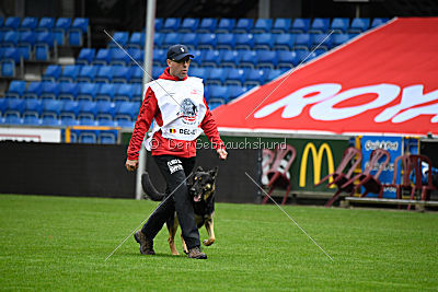 Louka von Bussardwald