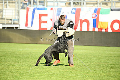 Loza Hundehaus Sandgrube