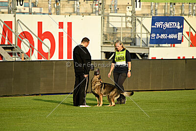 Ludwig-Rolf vom Germanen Schloss