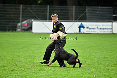 Luis von der Pulvermühle