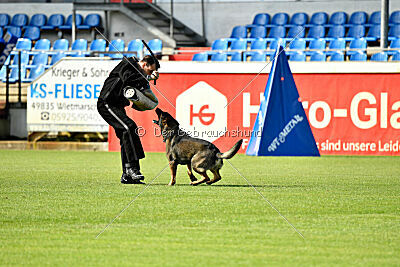 Lynxfelsen Coran