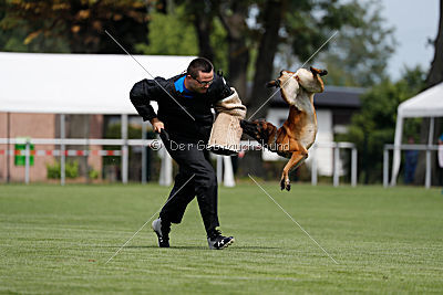 Malimaniac's Be Crazy