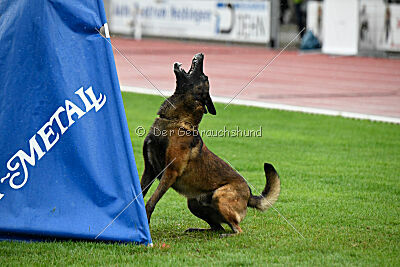 Malimaniac's Erlkönig