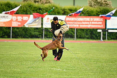Malisko Sky is the Limit