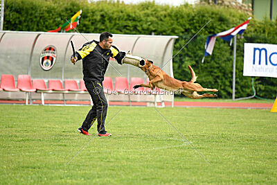 Malisko Sky is the Limit