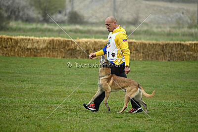 Matrix de Solare's Venezuela