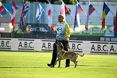 Matrix de Solare's Venezuela