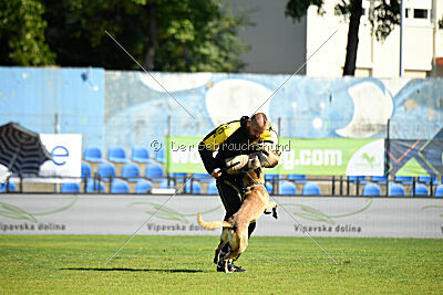 Matrix de Solare's Venezuela