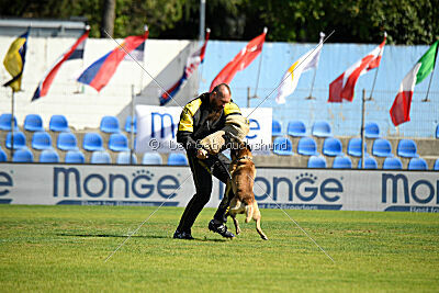 Matrix de Solare's Venezuela