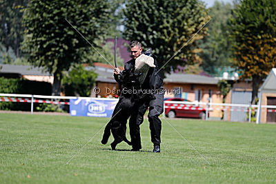 Max vom Mochauer Land