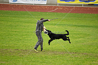 Max vom Mochauer Land