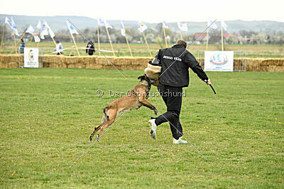Mecberger Vida