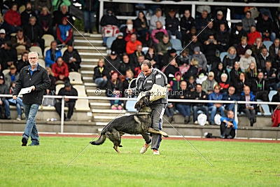 Miro von der alten Schmiede