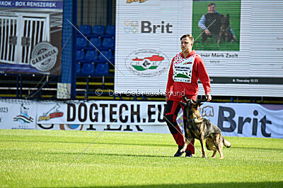 Molinaridogs Johnny
