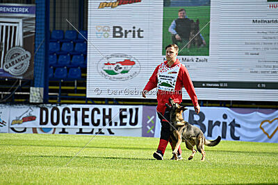 Molinaridogs Johnny