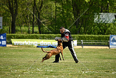 MonAmie Phoebe von den brennenden Herzen