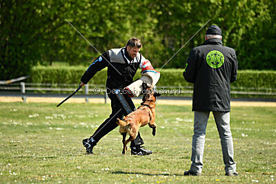 MonAmie Phoebe von den brennenden Herzen