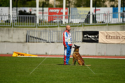 Monty Extra Temperament