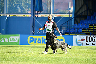 Moorschloss Farell-Wieratal