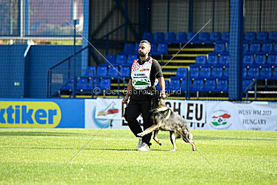 Moorschloss Farell-Wieratal