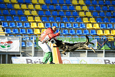 Moorschloss Farell-Wieratal