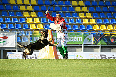 Moorschloss Farell-Wieratal