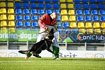 Moorschloss Farell-Wieratal