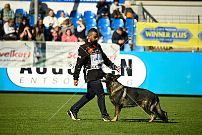 Moorschloss Farell-Wieratal