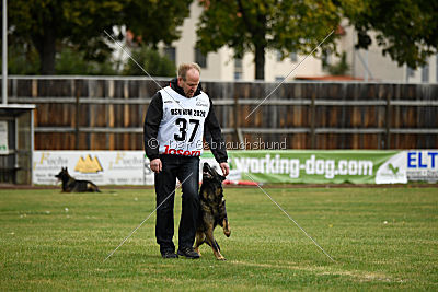 Naida vom Waisagrund