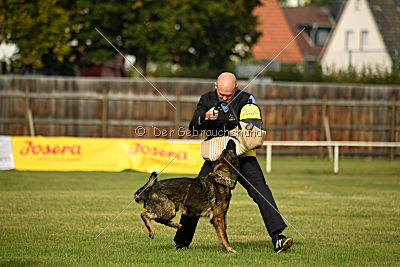 Naida vom Waisagrund