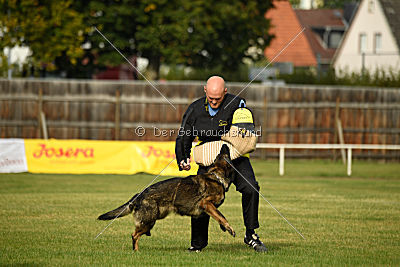 Naida vom Waisagrund