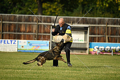 Naida vom Waisagrund