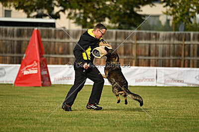 Naida vom Waisagrund