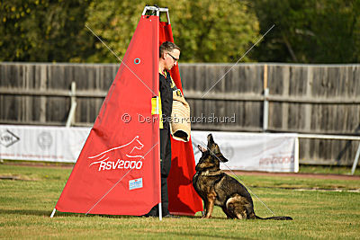 Naida vom Waisagrund