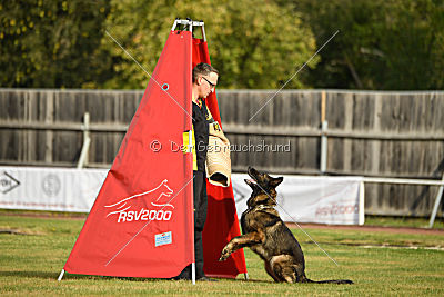 Naida vom Waisagrund