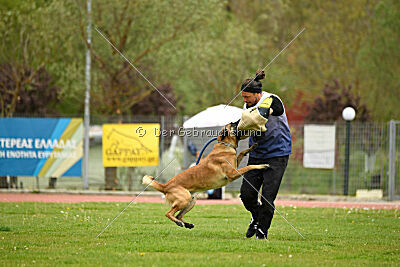 Nasty Rick Rude du Poilu