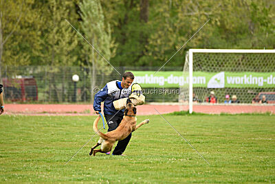 Nasty Rick Rude du Poilu