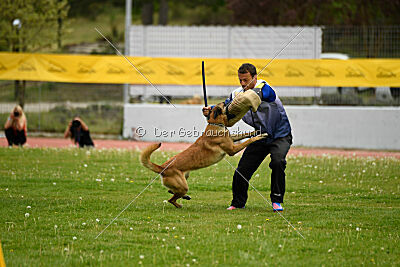 Nasty Rick Rude du Poilu