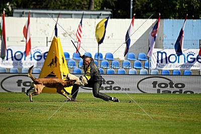 Nasty Rick Rude du Poilu