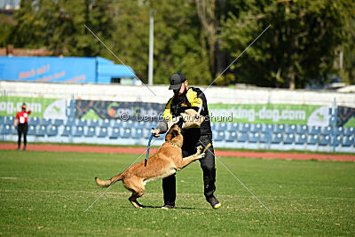 Nasty Rick rude du poilu