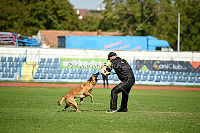 Nasty Rick rude du poilu