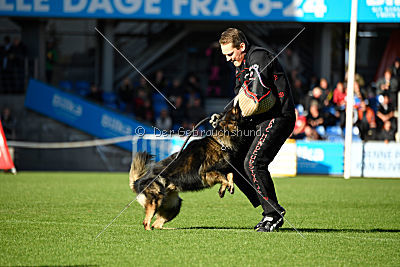 Nayko von Spitzbubezwinger