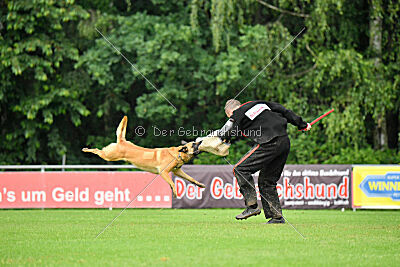 Ne pas toucher D'Toxx