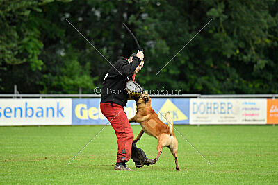 Ne pas toucher D'Toxx