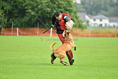 Ne pas toucher D'Toxx