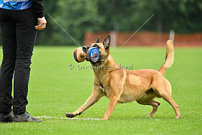 Ne pas toucher D'Toxx