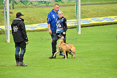 Ne pas toucher D'Toxx