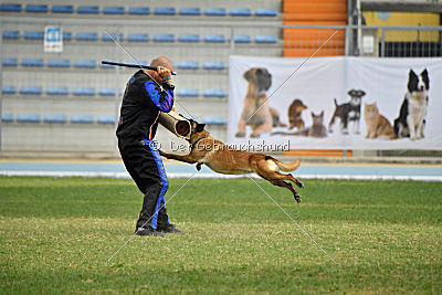 Neli Running Wild
