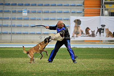 Neli Running Wild